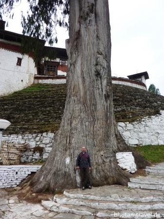 bhutan-spezialist heinrich heinz am fue des groen baumes beim trongsa dzong 2